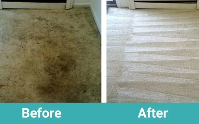 Before & after - carpet cleaning - NJ Certified home solution