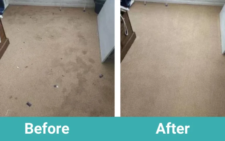 Before & after - carpet cleaning in NJ - Certified home solution