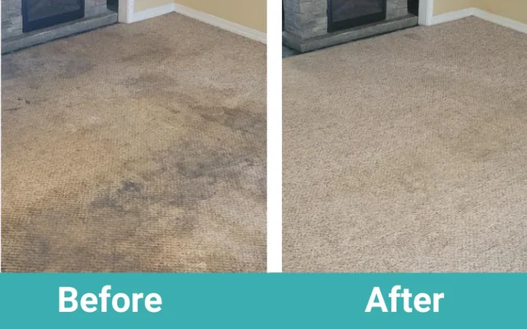 Before & after - carpet cleaning in NJ - Certified home solution