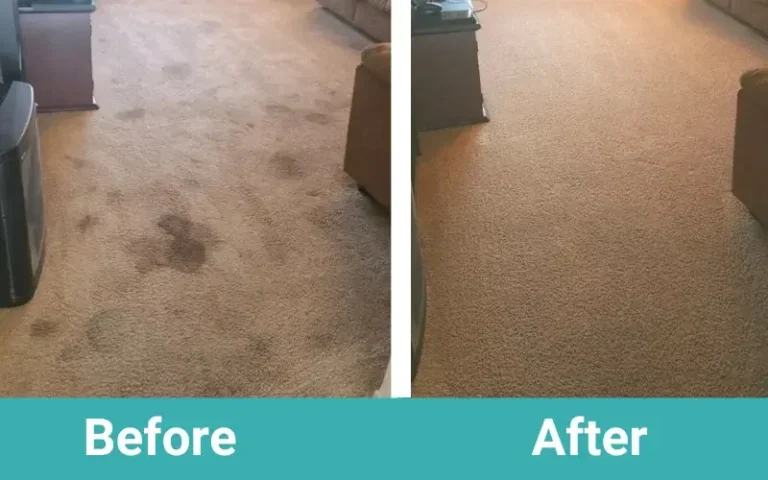 Certified Home Solution - upholstery-cleaning